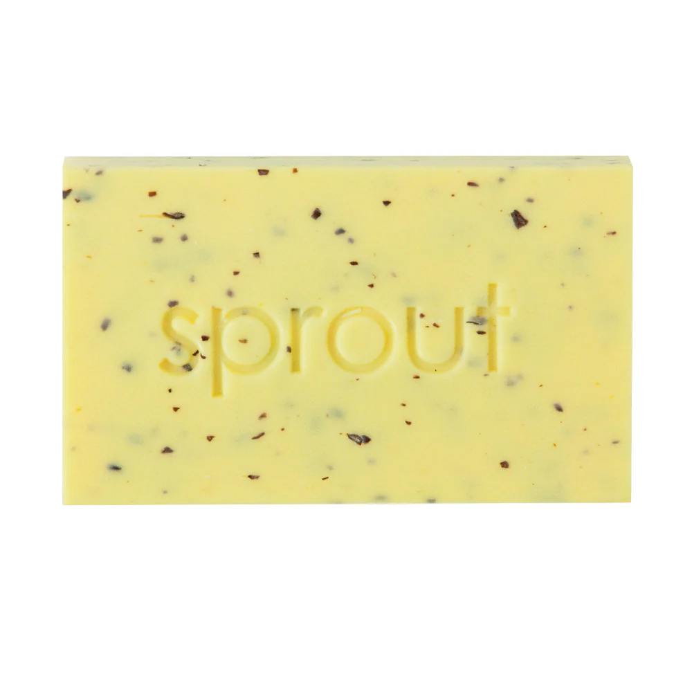 Load image into Gallery viewer, ANNABEL TRENDS Sprout Soap - Pineapple &amp; Ginger