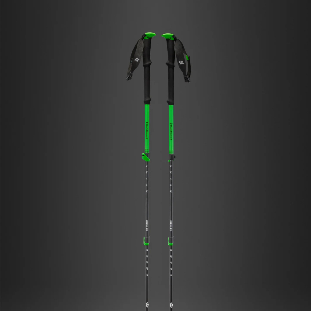 Load image into Gallery viewer, BLACK DIAMOND Diamond Expedition WR 3 Trekking Poles