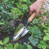 BURGON & BALL Groundbreaker Trowel - Stainless - RHS Endorsed