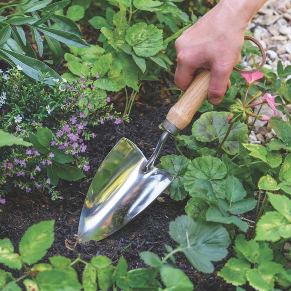 Load image into Gallery viewer, BURGON &amp; BALL Groundbreaker Trowel - Stainless - RHS Endorsed