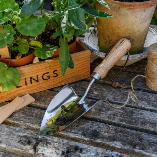 BURGON & BALL Groundbreaker Trowel - Stainless - RHS Endorsed