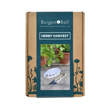 Load image into Gallery viewer, BURGON &amp; BALL Herby Harvest Set