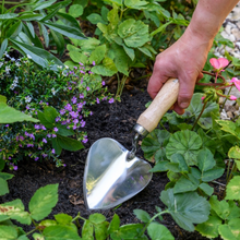 Load image into Gallery viewer, BURGON &amp; BALL Planting Trowel - Stainless - RHS Endorsed