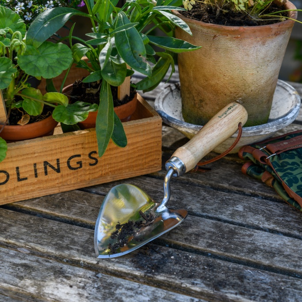 Load image into Gallery viewer, BURGON &amp; BALL Planting Trowel - Stainless - RHS Endorsed