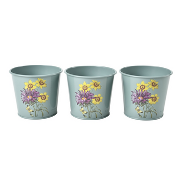 BURGON & BALL Herb Pots - RHS Gift Collection