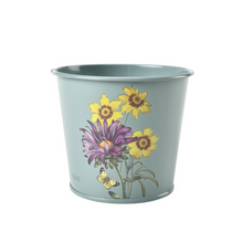 Load image into Gallery viewer, BURGON &amp; BALL RHS Gift Herb Pots - Asteraceae