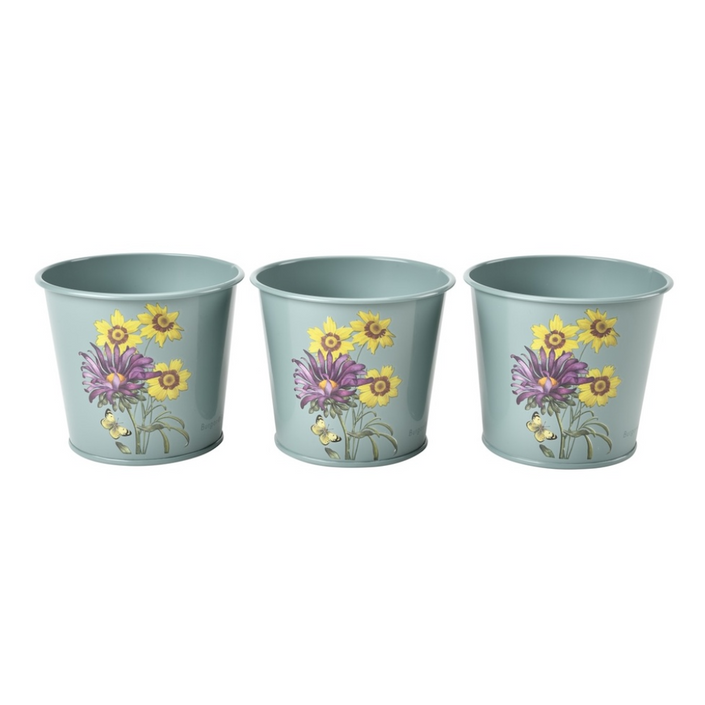 BURGON & BALL RHS Gift Herb Pots - Asteraceae