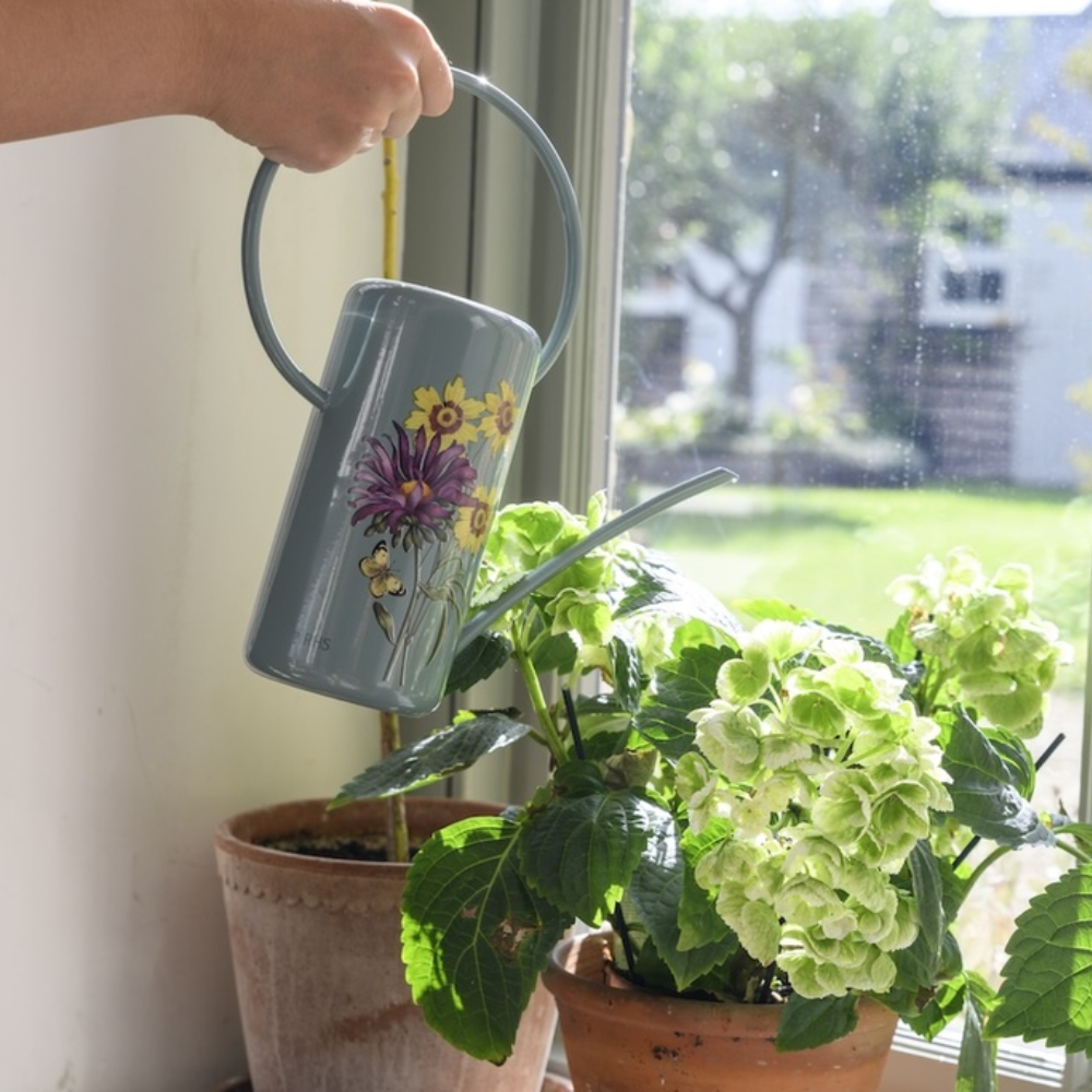 Load image into Gallery viewer, BURGON &amp; BALL RHS Gift Indoor Can - Asteraceae