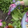 BURGON & BALL Planting Trowel & Dibber - RHS Gift Collection