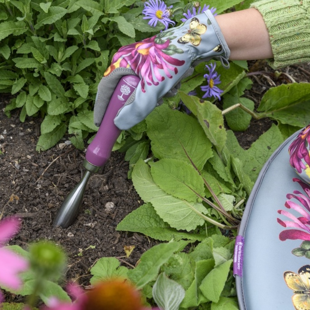 Load image into Gallery viewer, BURGON &amp; BALL RHS Gift Planting Trowel &amp; Dibber - Asteraceae