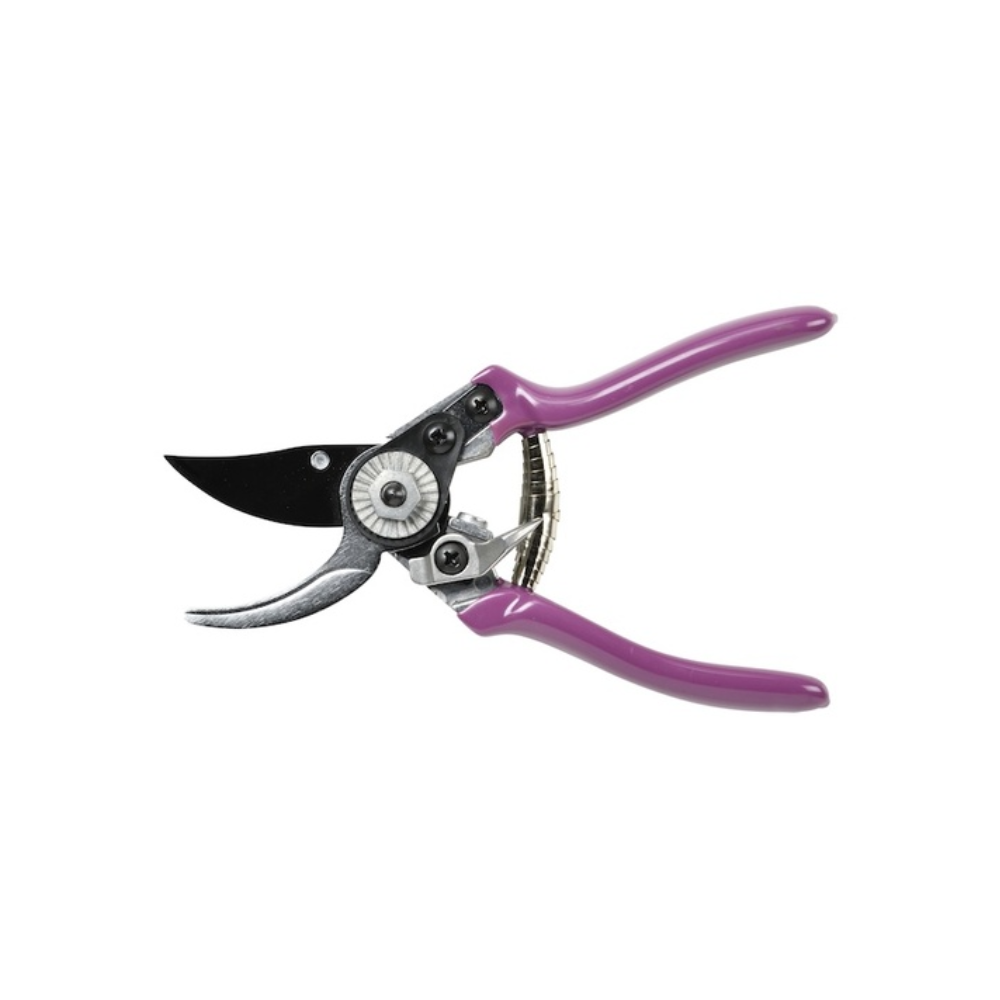 Load image into Gallery viewer, BURGON &amp; BALL RHS Gift Pruner &amp; Holster Set - Asteraceae