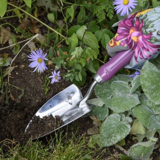 BURGON & BALL RHS Gift Trowel & Fork - Asteraceae