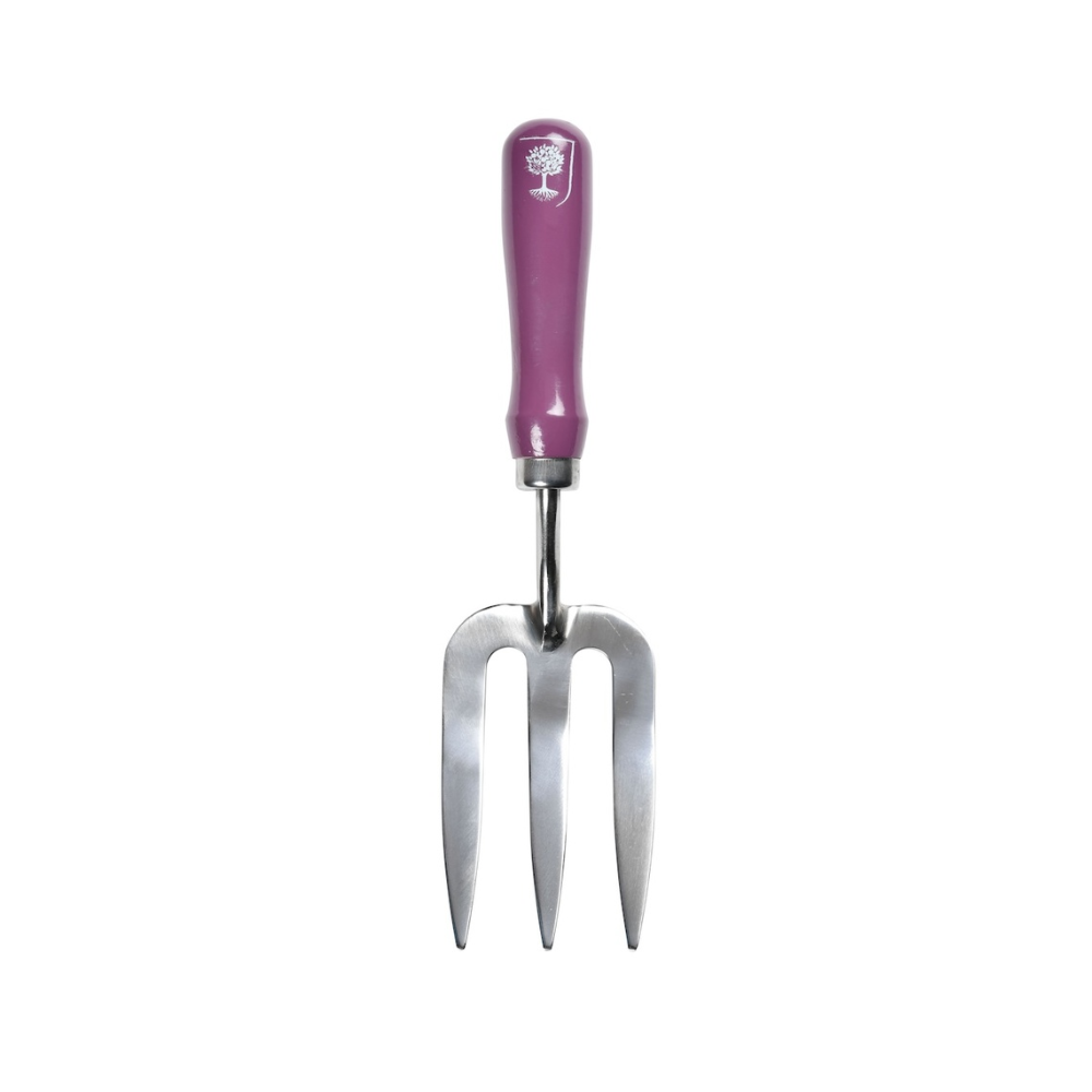 Load image into Gallery viewer, BURGON &amp; BALL RHS Gift Trowel &amp; Fork - Asteraceae