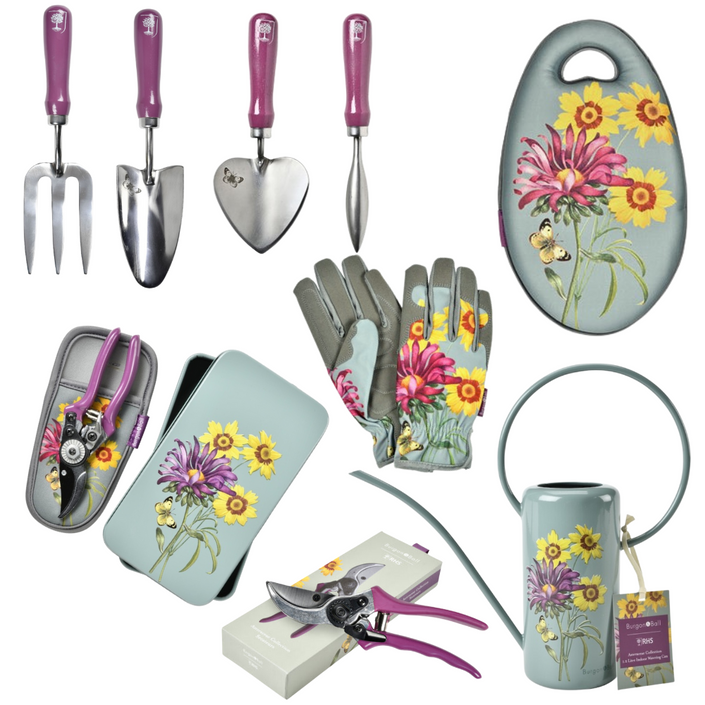 BURGON & BALL Asteraceae Gardener's Gift Set - Deluxe