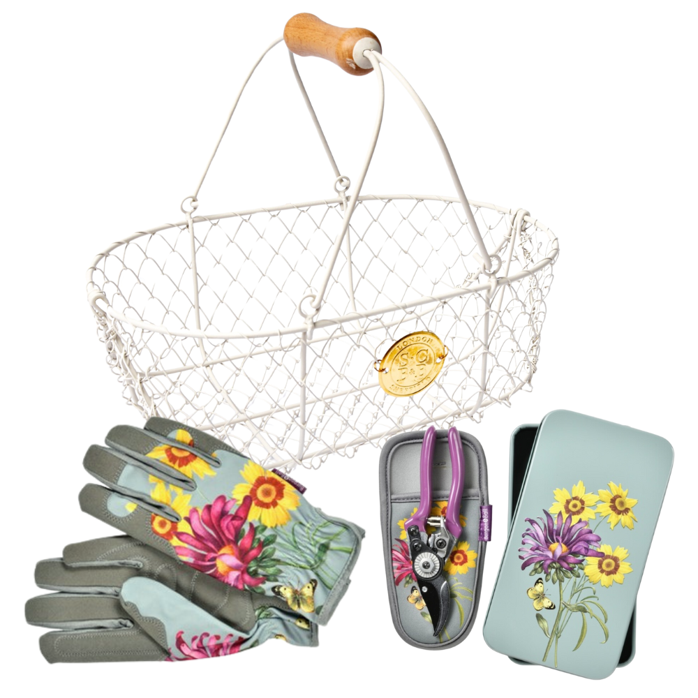 BURGON & BALL Asteraceae Gardener's Gift Set - Harvesting Small