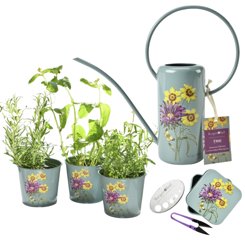 Load image into Gallery viewer, BURGON &amp; BALL Asteraceae Gardener&#39;s Gift Set - Herb Grower