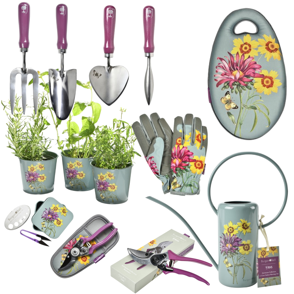 BURGON & BALL Asteraceae Gardener's Gift Set - Ultimate