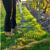 BURGON & BALL BoronGreen Lawn Rake - RHS Endorsed