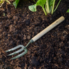 BURGON & BALL BoronGreen Mid Handled Fork - RHS Endorsed