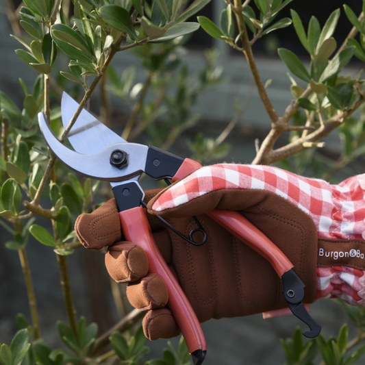 BURGON & BALL Collector Series Bypass Secateurs - Red