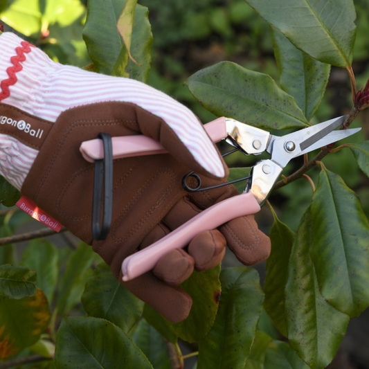 BURGON & BALL Collector Series Fruit and Flower Snips - Blush