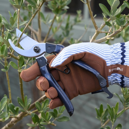 BURGON & BALL Collector Series Gloves - Blue Stripe