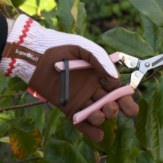 BURGON & BALL Collector Series Gloves - Blush Stripe