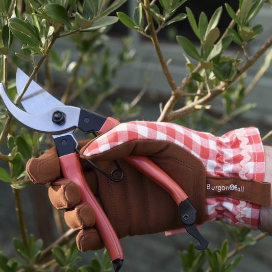 BURGON & BALL Collector Series Gloves - Red Check