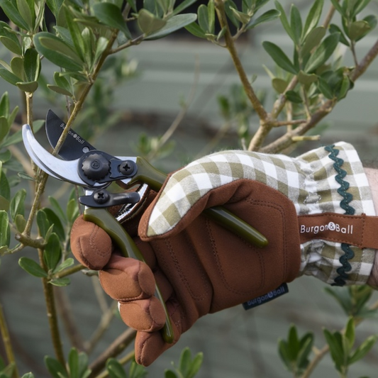 BURGON & BALL Collector Series Gloves - Olive Check