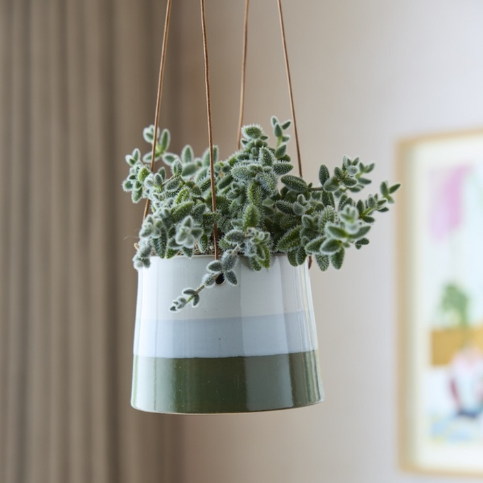 BURGON & BALL Collector Series Hanging Pot 12.5cm - Blue