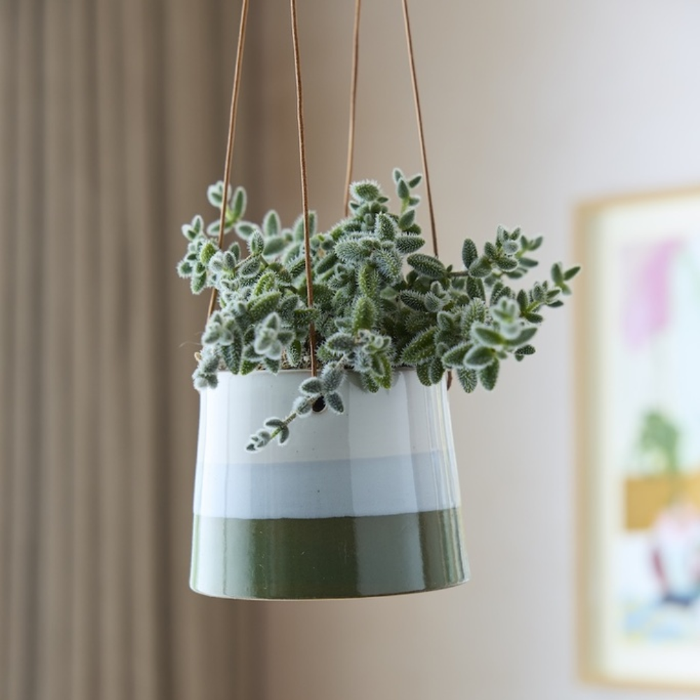 Load image into Gallery viewer, BURGON &amp; BALL Collector Series Hanging Pot 12.5cm - Blue