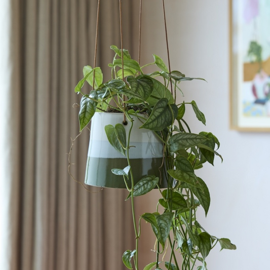 BURGON & BALL Collector Series Hanging Pot 9.5cm - Blue