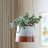 BURGON & BALL Collector Series Hanging Pot 9.5cm - Blush