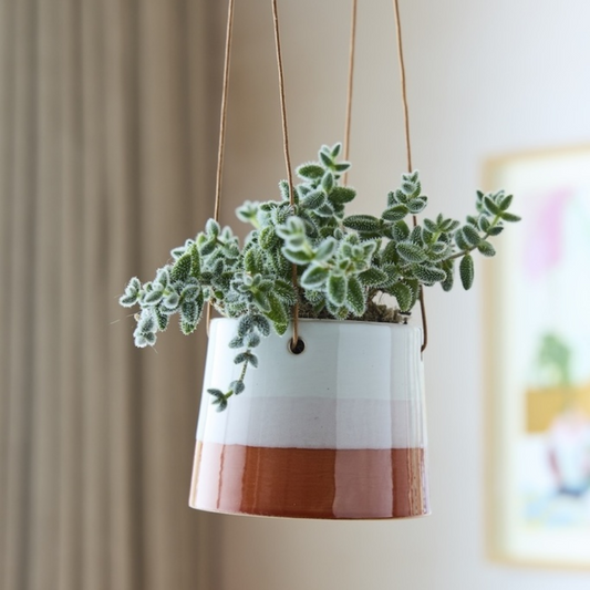 BURGON & BALL Collector Series Hanging Pot 12.5cm - Blush