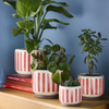 BURGON & BALL Collector Series Indoor Pots 10cm - Red