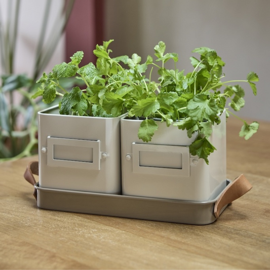 BURGON & BALL Herb Pots - Mushroom