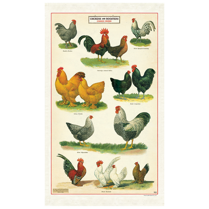 CAVALLINI & Co. 100% Natural Cotton Tea Towel - Chickens