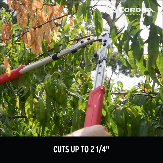 CORONA X Series Aluminum Lopper