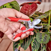 CORONA Yard Essentials Houseplant Pruner