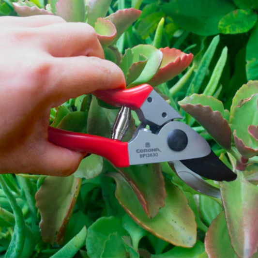 CORONA Yard Essentials Pocket Pruner