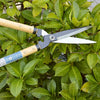 NISHIGAKI Karikichi Short Hedge Shears