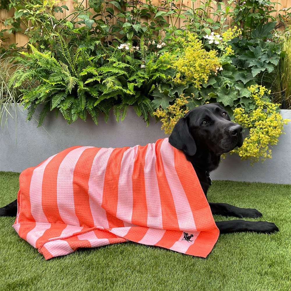 Load image into Gallery viewer, DOCK &amp; BAY Dog Towel Large 100% Recycled - Canine Coral