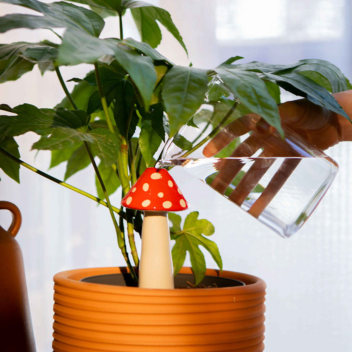 DOIY Amanita Self Watering System