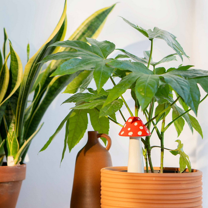 DOIY Amanita Self Watering System