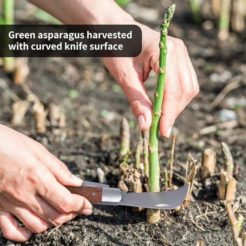 Load image into Gallery viewer, DRAPER TOOLS Expert Heritage Range Budding Knife with FSC Certified Oak Handle