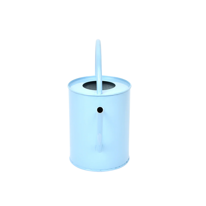 ESSCHERT DESIGN 'Blue Shades' Indoor Watering Can - Sky Blue