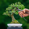 ESSCHERT DESIGN Bonsai Concave Cutter