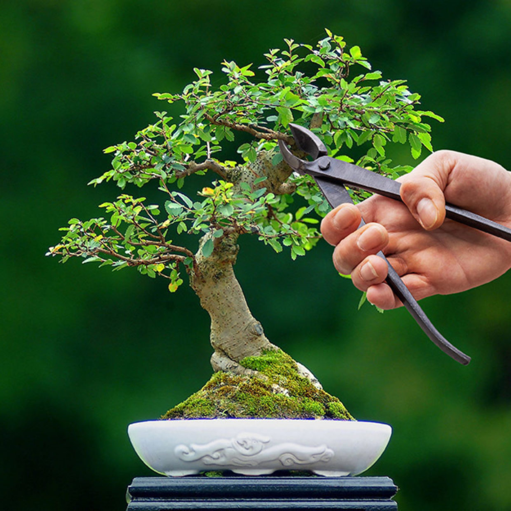 Load image into Gallery viewer, ESSCHERT DESIGN Bonsai Concave Cutter