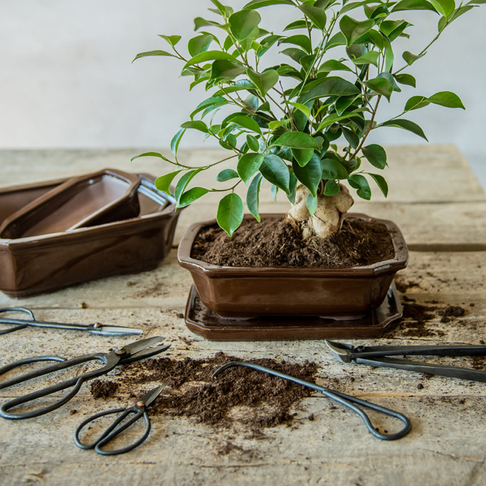 Load image into Gallery viewer, ESSCHERT DESIGN Bonsai Shears - Large