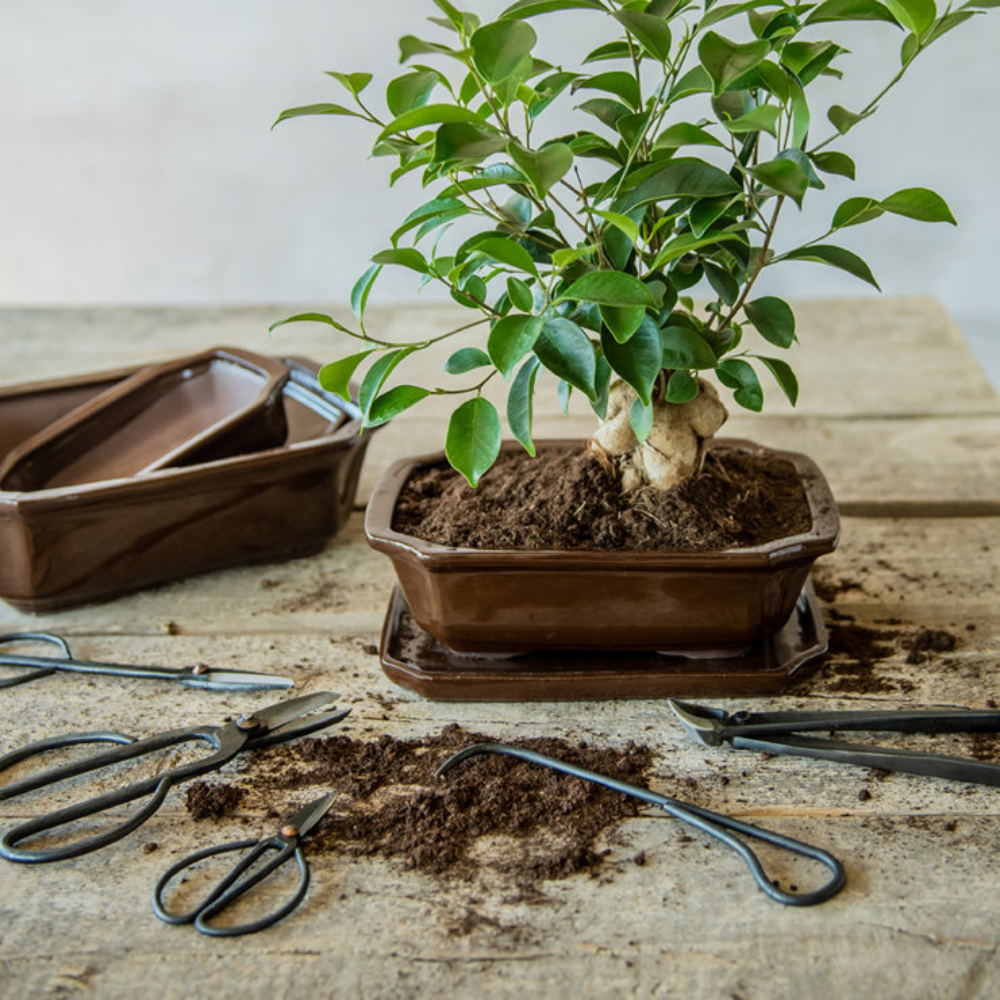 Load image into Gallery viewer, ESSCHERT DESIGN Bonsai Slim Twig Shears